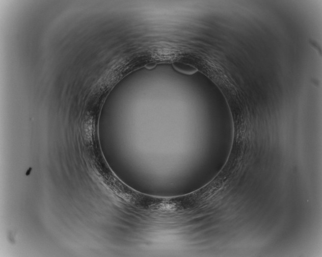 X0000100780647200806261630