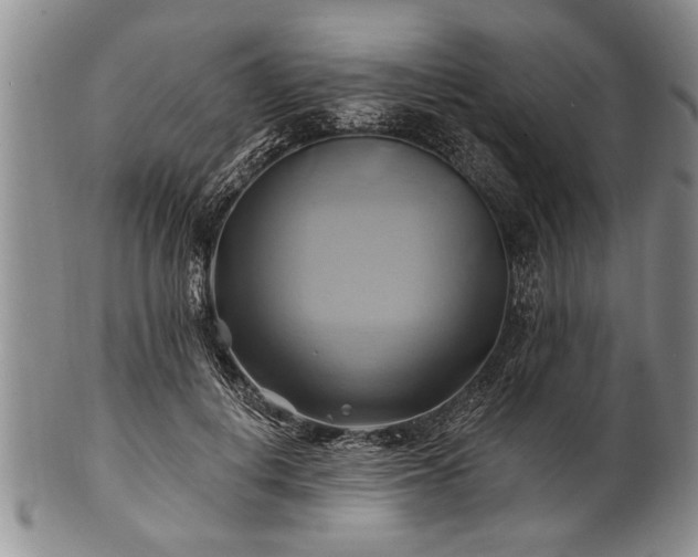 X0000100780648200806261630