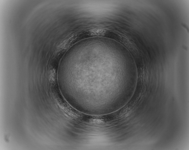 X0000100780649200806261630