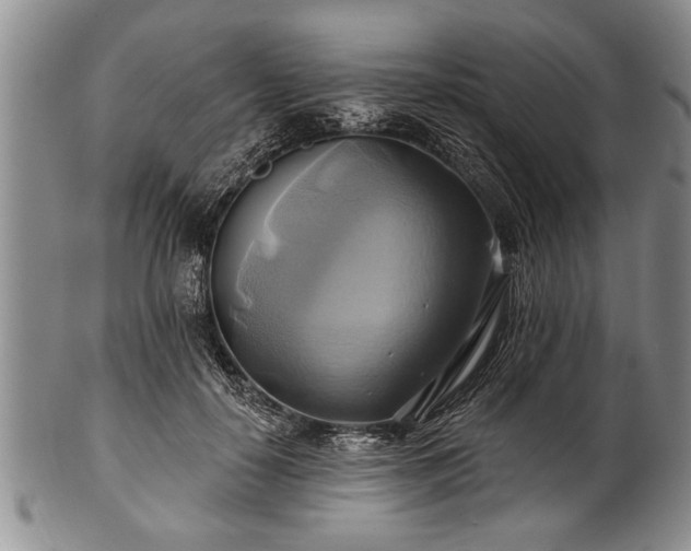 X0000100780650200806261630