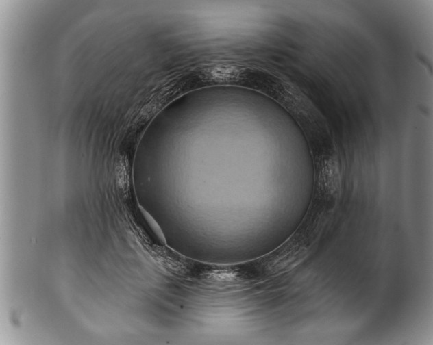 X0000100780651200806261630