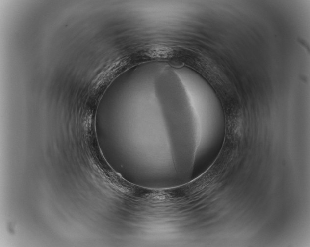 X0000100780652200806261630