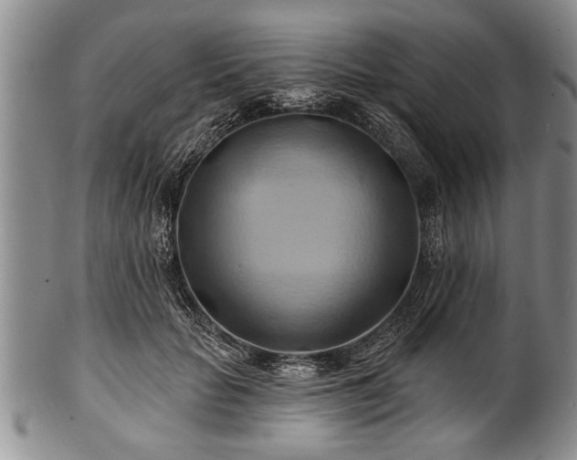 X0000100780653200806261630