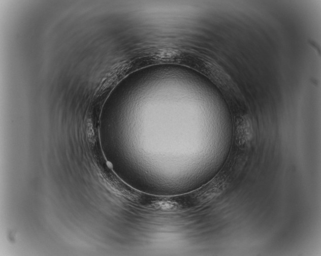 X0000100780654200806261630