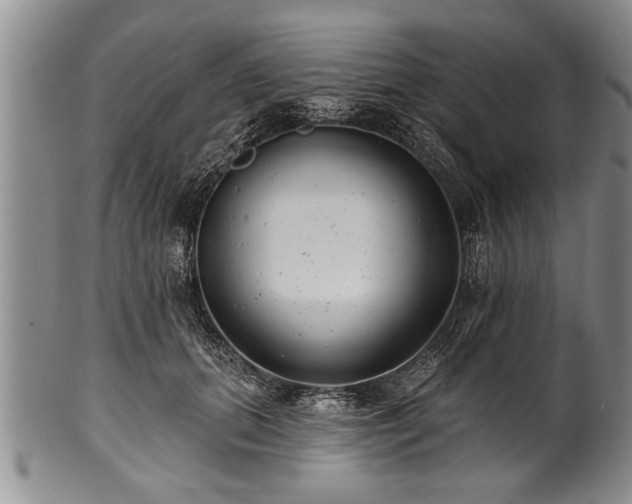 X0000100780655200806261630