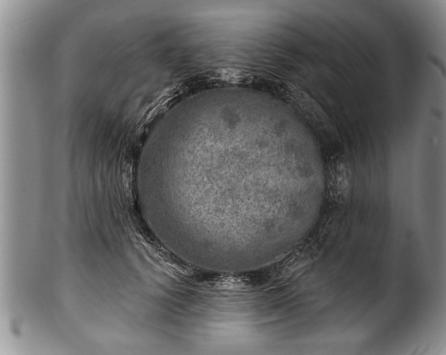 X0000100780656200806261630