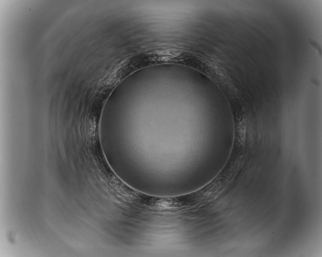 X0000100780657200806261630