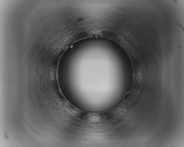 X0000100780658200806261630