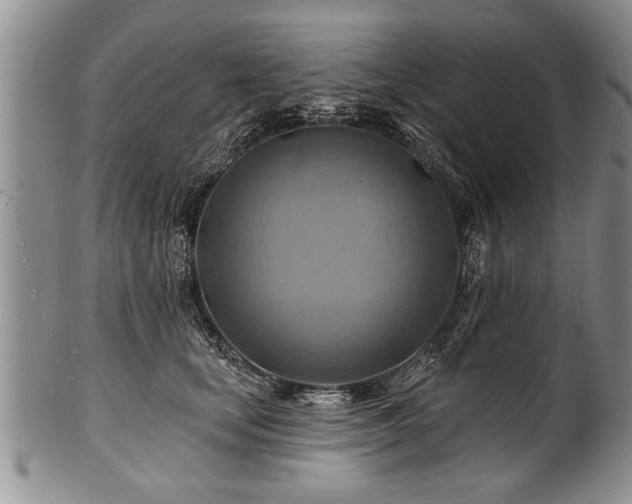 X0000100780659200806261630