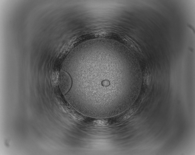 X0000100780660200806261630