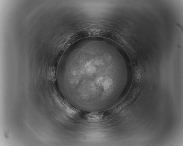 X0000100780661200806261630