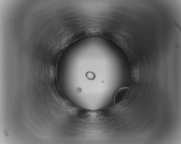 X0000100780662200806261630