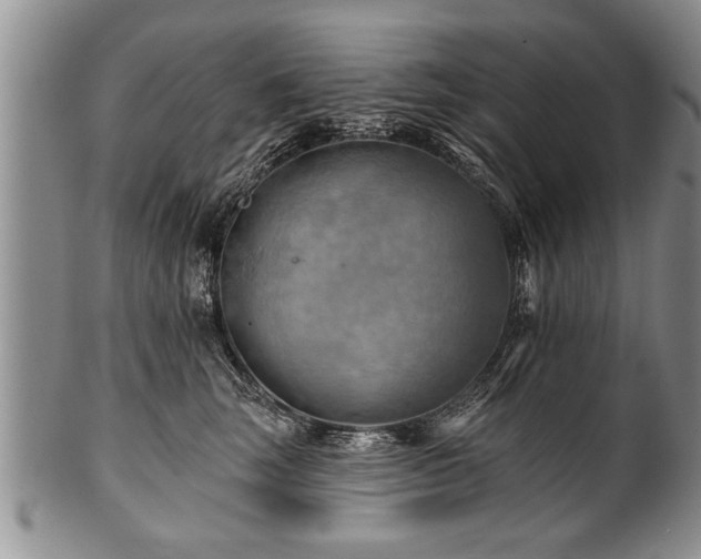 X0000100780663200806261630