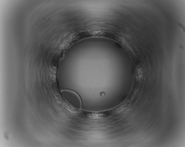 X0000100780664200806261630