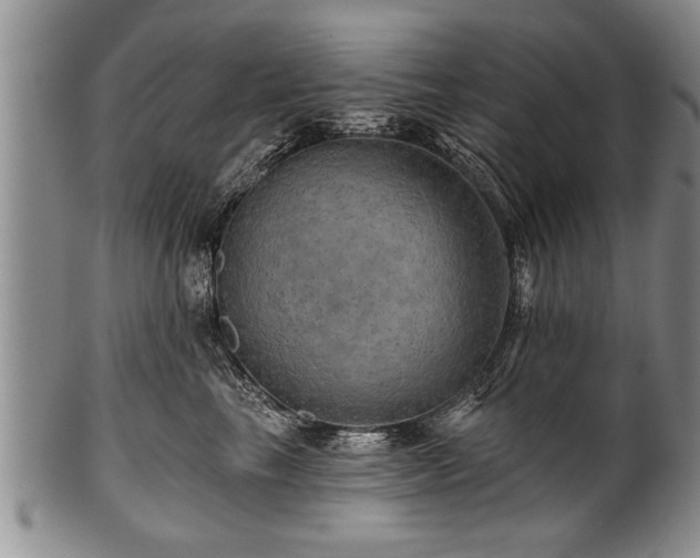 X0000100780665200806261630