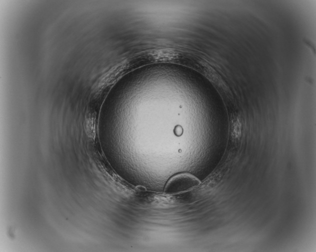 X0000100780666200806261630