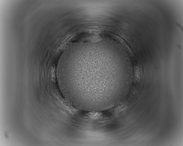 X0000100780667200806261630