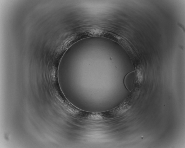 X0000100780668200806261630