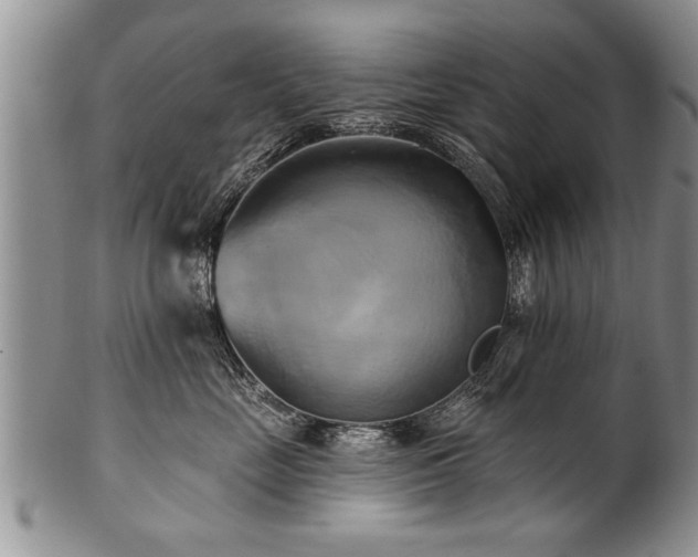 X0000100780669200806261630