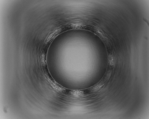 X0000100780670200806261630