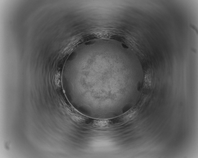 X0000100780671200806261630