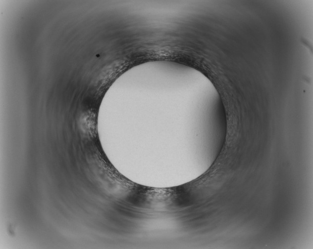 X0000100780672200806261630