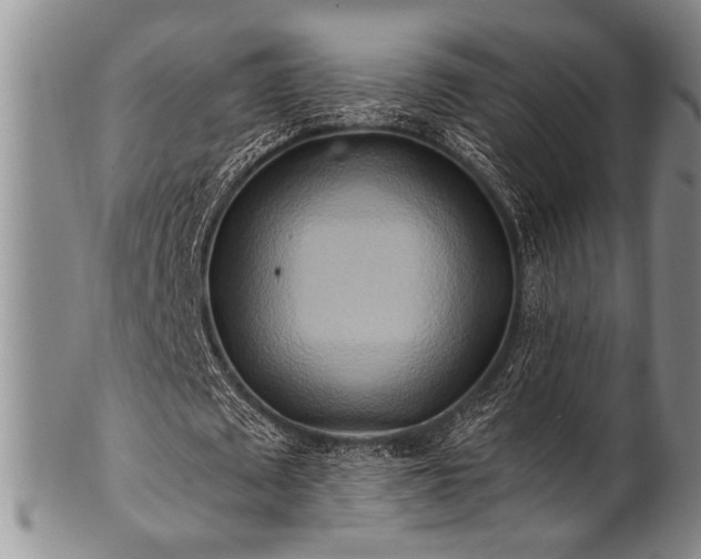 X0000100780673200806261630