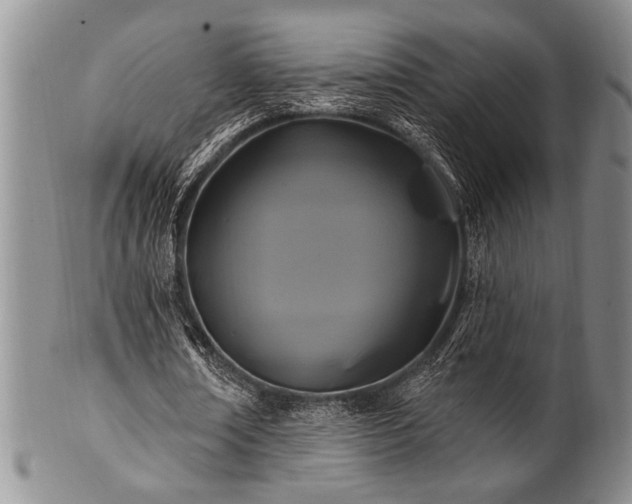 X0000100780674200806261630