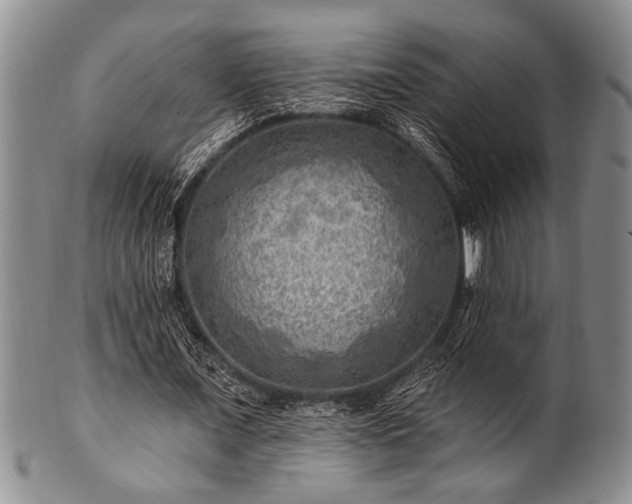 X0000100780675200806261630