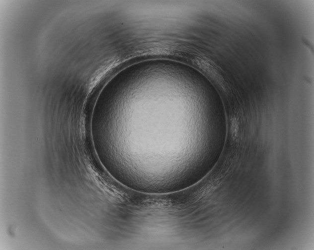 X0000100780676200806261630