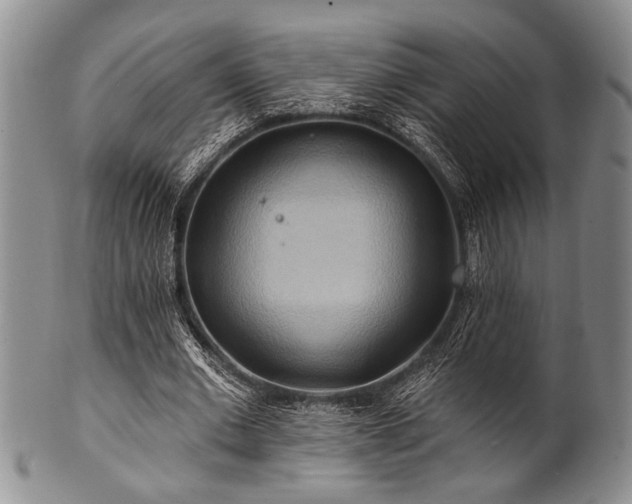 X0000100780677200806261630