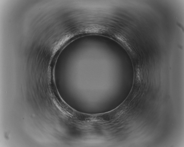 X0000100780678200806261630