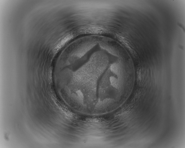 X0000100780679200806261630