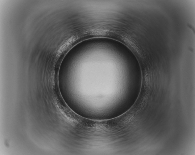 X0000100780682200806261629