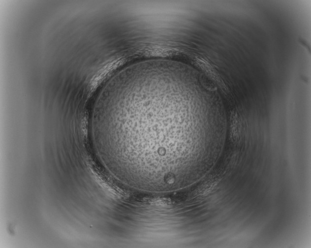 X0000100780683200806261629