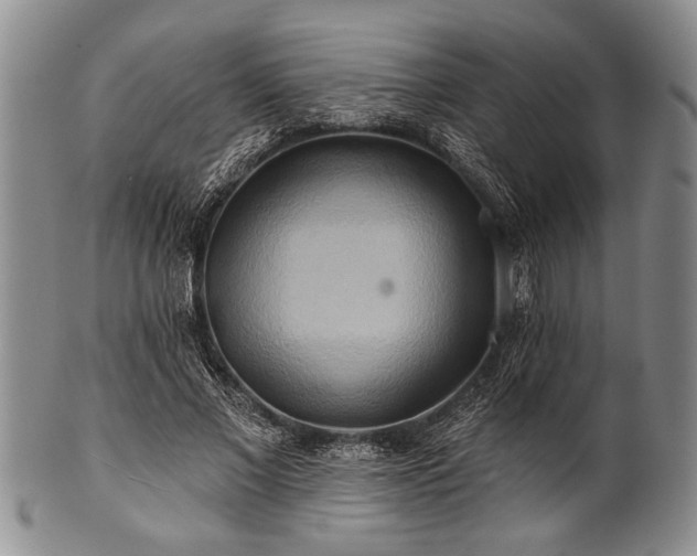 X0000100780685200806261629