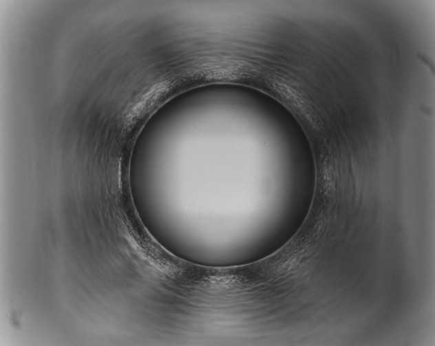 X0000100780686200806261629