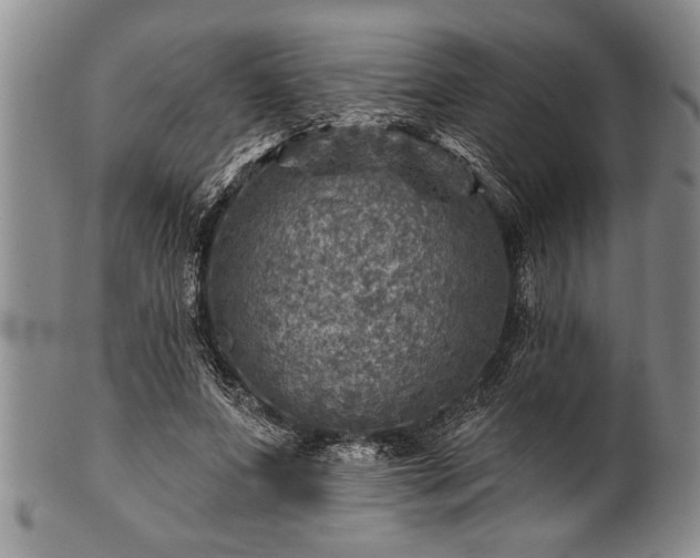 X0000100780687200806261629