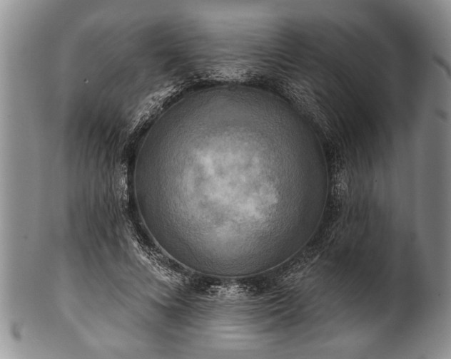 X0000100780688200806261629