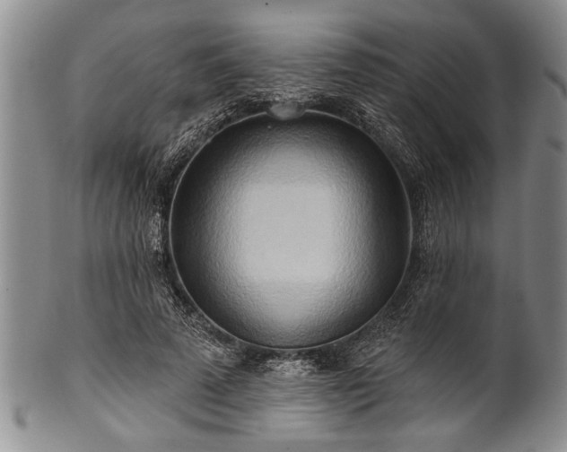 X0000100780689200806261629