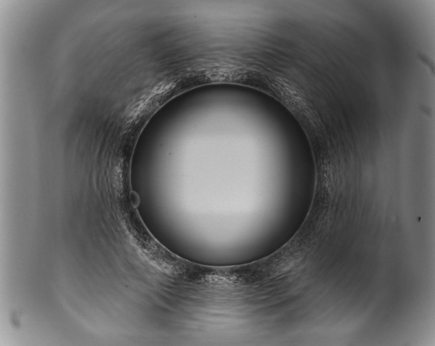 X0000100780690200806261629