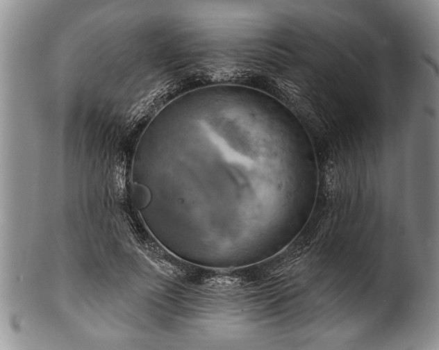 X0000100780691200806261629