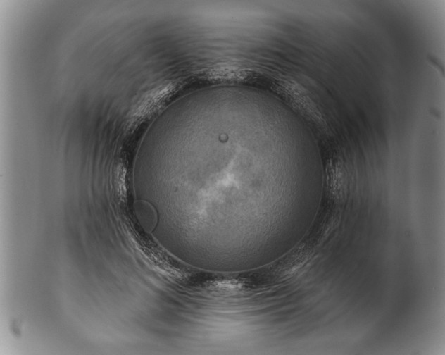 X0000100780692200806261629