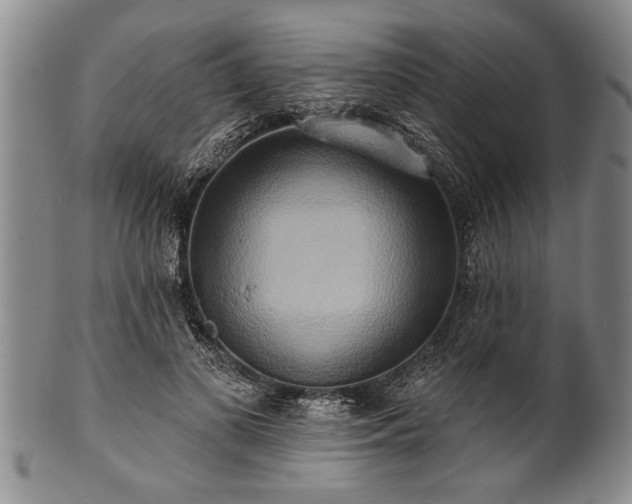 X0000100780693200806261629