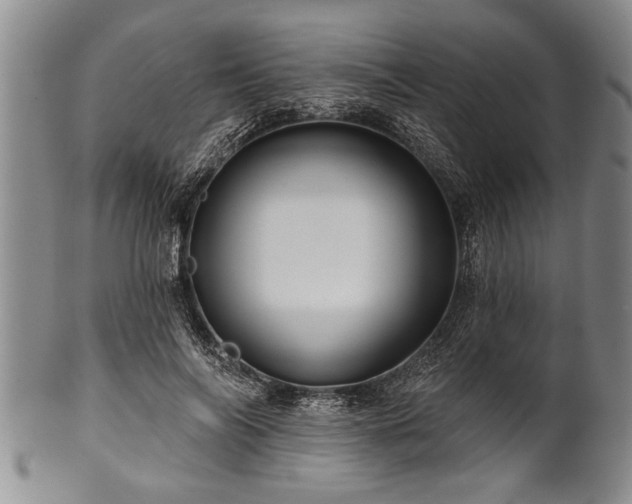 X0000100780694200806261629