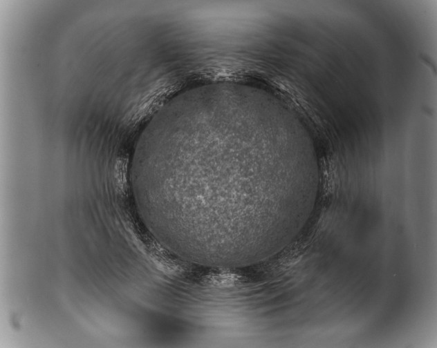 X0000100780695200806261629