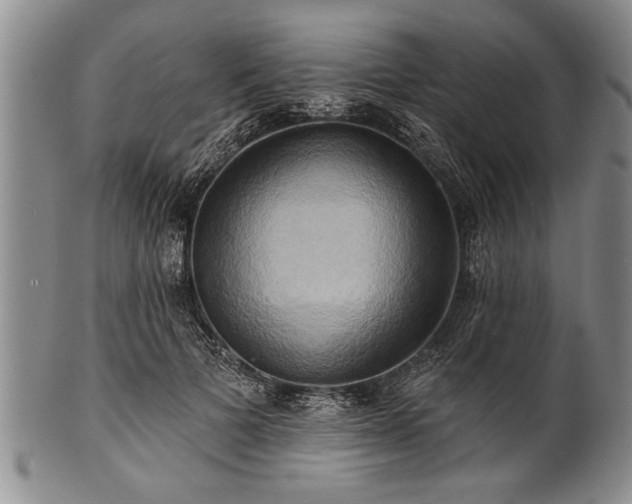 X0000100780697200806261629