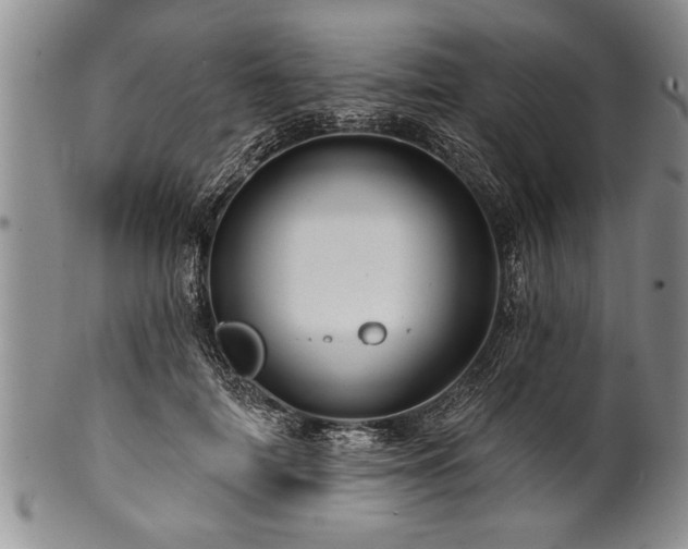 X0000100780698200806261629