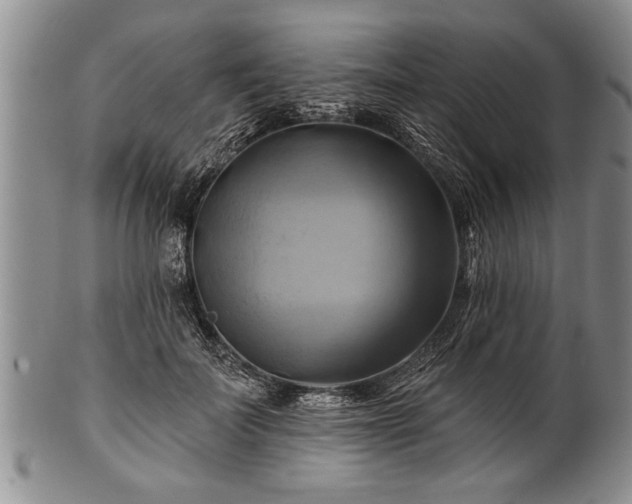 X0000100780699200806261629