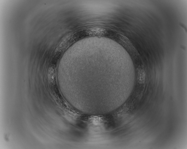 X0000100780701200806261629